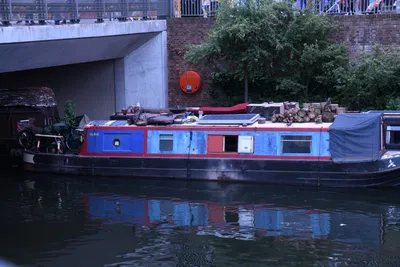 DSC_1554 (Large).JPG